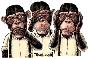 3 ape